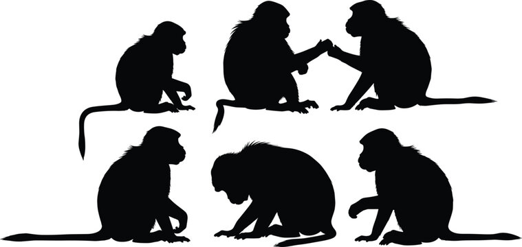 Gelada baboon primate solid black silhouette vector pack featuring various sitting monkey shapes isolated on transparent background