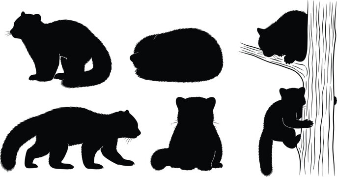 Red panda black silhouette vector graphics set featuring sleeping and climbing tree wildlife animal shapes isolated on transparent background