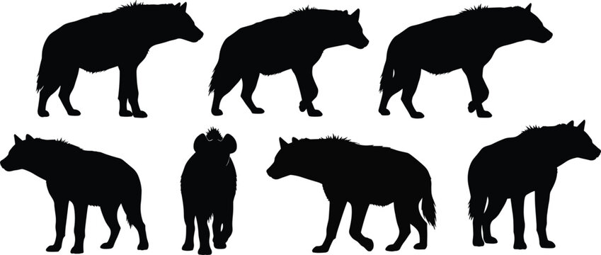 Spotted hyena wild animal black silhouette vector set with various scavenger predator shapes isolated on transparent background