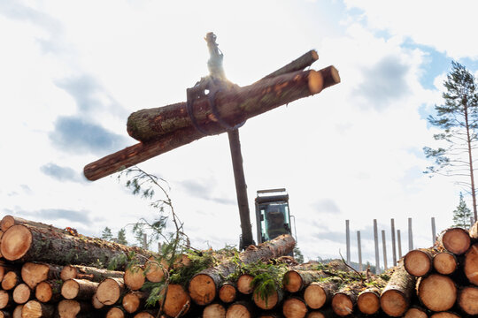 Low angle view of feller buncher picking up logs against sky