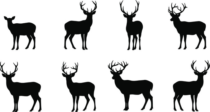 Wild deer animal silhouette vector collection featuring various horned buck shapes isolated on transparent background