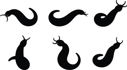 Leech insect silhouette vector collection featuring various crawling bloodsucker worm shapes isolated on transparent background © Olivia