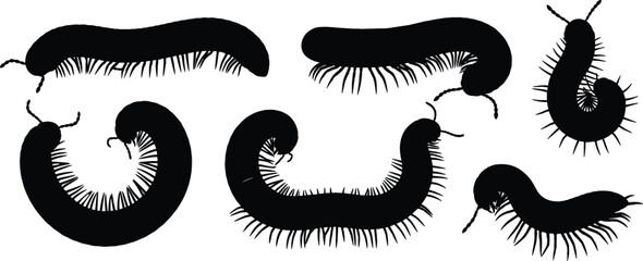 Millipede insect solid silhouette vector collection featuring various crawling bug shapes isolated on transparent background © Olivia