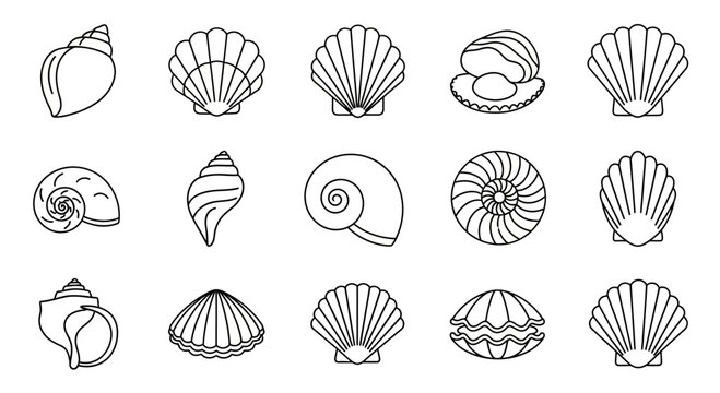 Collection of Outline Seashell Illustrations: Scallops, Conch, Nautilus, Clams