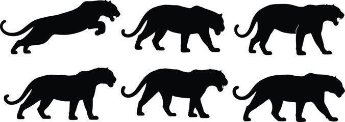 Jaguar silhouettes set vector illustration of big wild cats roaring walking and leaping isolated on transparent background © Olivia