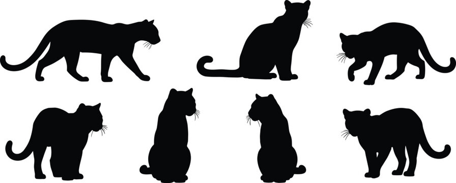 Ocelot silhouettes collection vector illustration of exotic wild cat felines in various sitting and walking poses isolated on transparent background