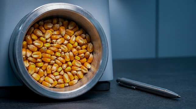A premium industrial close-up of a circular metal chamber packed with golden corn kernels next to a sleek stainless steel laboratory pen.