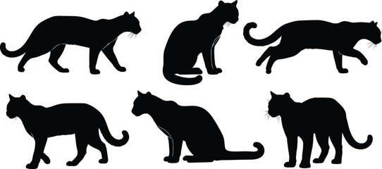 Ocelot silhouettes set vector illustration of wild exotic cats in various poses isolated on a transparent background © Olivia