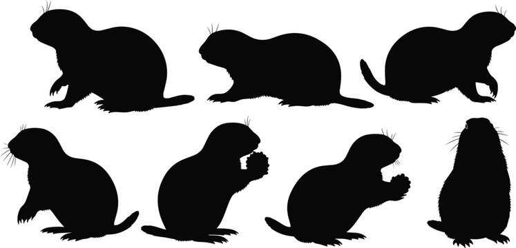 Prairie dog silhouettes set vector illustration of wild rodents in various poses isolated on a transparent background
