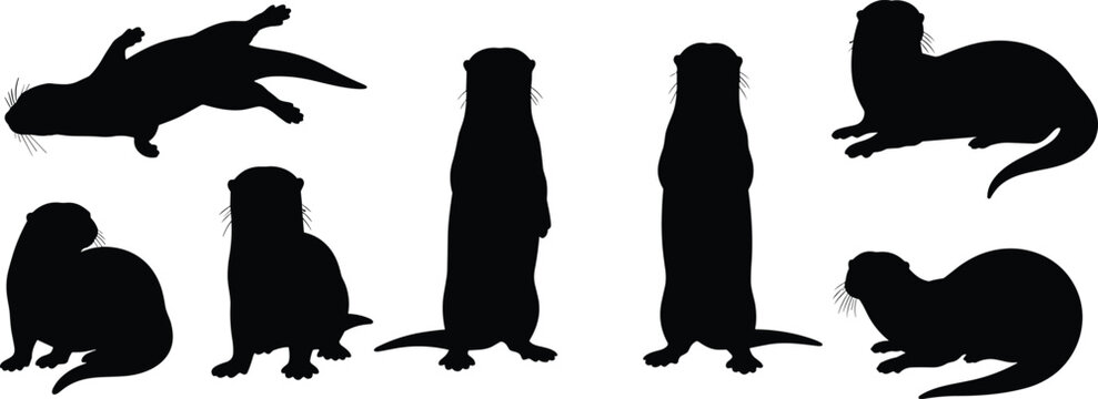 Wild otter aquatic mammal black silhouette vector set featuring swimming and standing animal shapes isolated on transparent background
