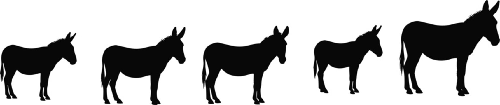 Domestic donkey farm livestock black silhouette vector pack with standing animal side view shapes isolated on transparent background