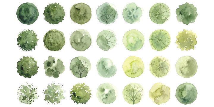Set of top view tree symbols for landscape architecture design and site plan rendering