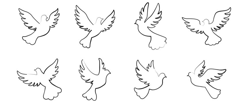 Set of flying dove outline in different poses perfect for Pentecost church logos baptism invitations religious crafts and spiritual design projects