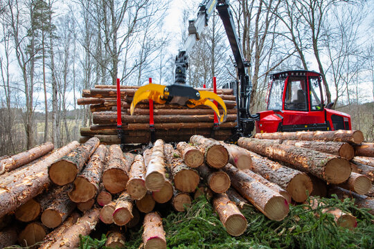 Forest machinery grappling logs and loading them in trailer
