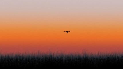 Fototapeta premium Silhouette of a drone flying over tall grass at sunset