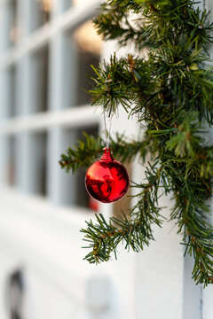 Christmas ornate hanging on tree
