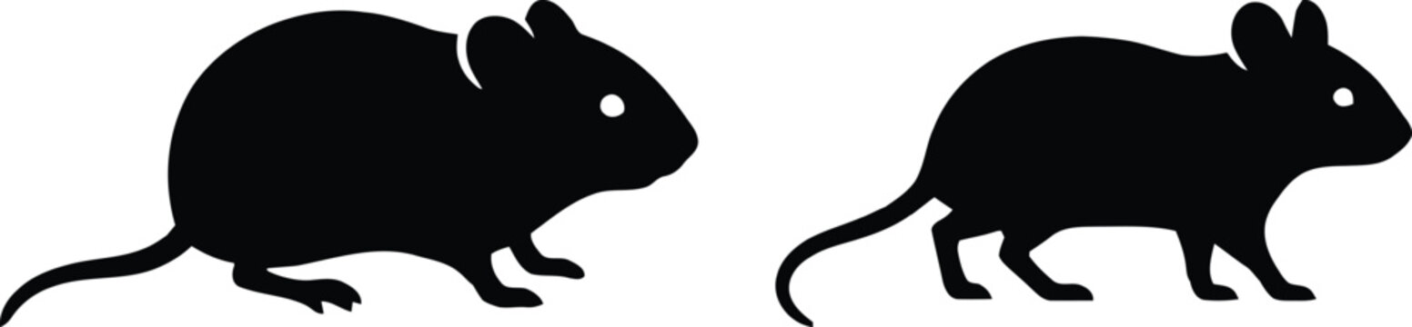 Black silhouettes of two little mice in different poses for pest control services veterinary clinic graphics and animal laboratory research symbols on white.