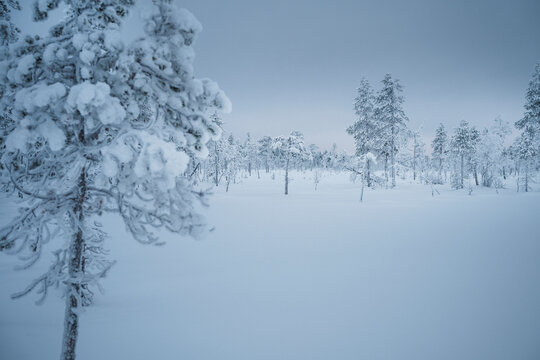 Scenic view of landscape with snow capped trees during winter