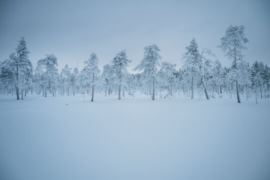 Scenic view of snow capped trees against sky in winter season