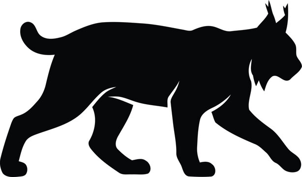 Silhouette of a lynx bobcat walking in profile view for wildlife predator nature conservation and forest animal graphic design projects isolated on a clean white background.