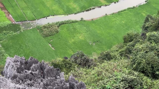 Aerial view of lush green rice fields in Ninh Binh, winding river and rocky cliffs, tranquil landscape