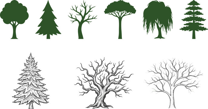 Mixed Tree Silhouette Collection with Bare Pine Willow and Decorative Forest Trees for Nature Vector Design
