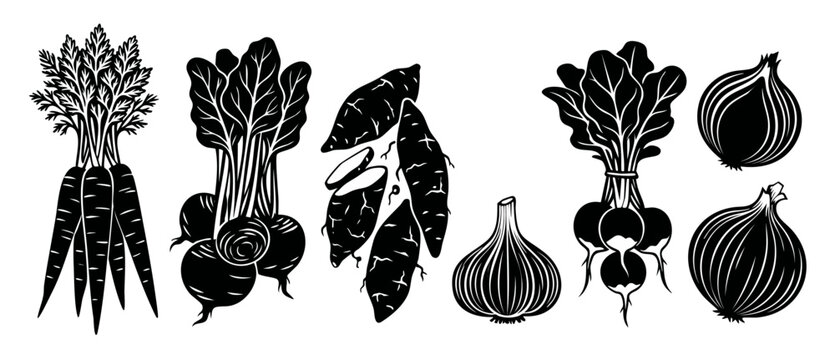 Vegetable Set Icons Silhouette Collection Isolated on White Background for Culinary Design, Organic Farm Produce Graphic Elements featuring Carrots, Beets, Sweet Potatoes, Garlic, Radishes and Onions