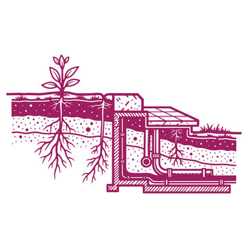 Illustrated crosssection of soil layers with plant roots and irrigation system highlighting soil structure and plant growth