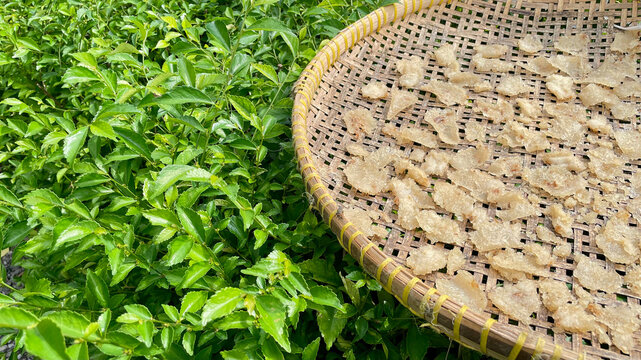 Traditional sun-dried rice crackers spread out on a round woven bamboo tray placed outdoors next to lush green garden foliage
