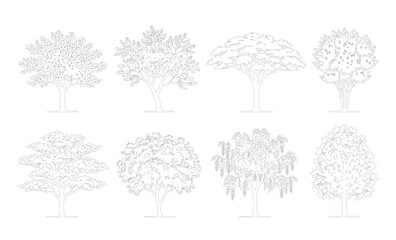 CAD line art deciduous trees side elevation set, outline broadleaf tree symbols for architectural and landscape design plans. Editable stroke vector, white fill. © Muhammad
