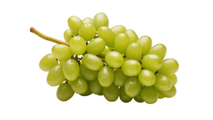 Fresh green seedless grapes on a stem, isolated on transparent background © Giulia