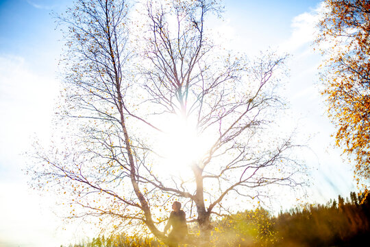 Woman sitting on top of tree at bright sunny day