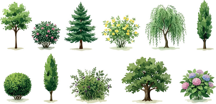 Realistic garden tree and shrub collection, set of 11 botanical plant vectors, green park vegetation and flowering bushes for landscape design