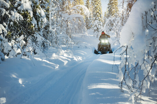 Shot of person riding snowmobile on snowy trail with tall pine trees