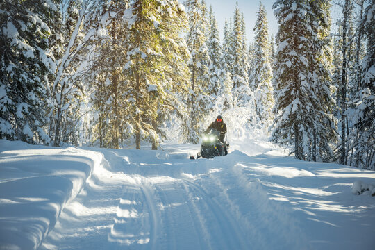Shot of person riding snowmobile on snowy trail in forest