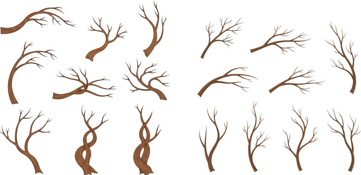 Set of bare tree branches, dry twigs, and leafless tree elements, perfect for seasonal and natural designs.