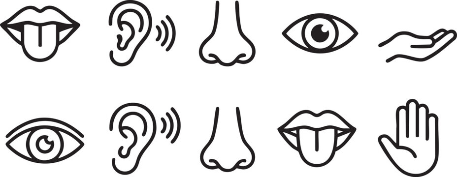 Five human senses vector icon set minimal outline symbols for sight hearing smell taste and touch