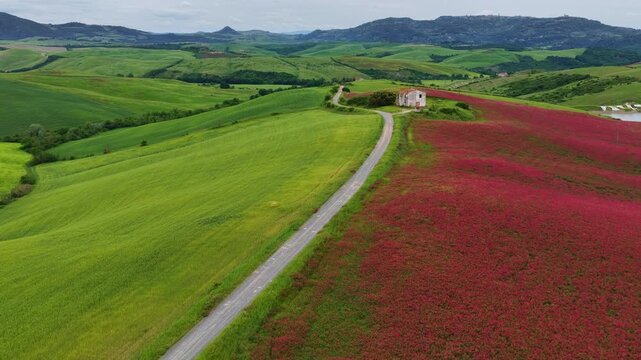 Tuscany landscape in spring with fields in bloom and green rolling hills, travel i9n Tuscany, Italy, Italian farmland in the springtime