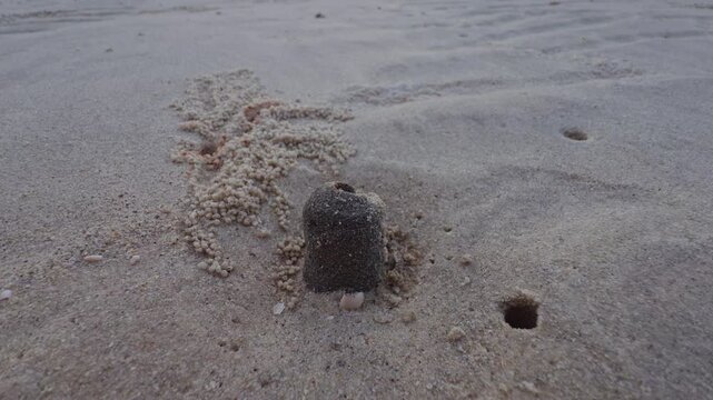 Macro View of Sand Crab Hole and Fresh Sand Pellets on Tropical Beach Surface, Coastal Wildlife and Marine Nature Detail