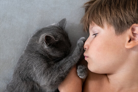 Tender Moment Between a Child and a Gray Cat, Close-Up of Affection A delightful image of a smiling boy and a gray cat gazing into each other&rsquo;s eyes, capturing a playful and heartwarming moment. 