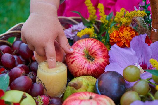Close-up of toddler hand dipping finger in honey jar inside wicker basket with autumn fruits and flowers, Child tastes fresh honey with her finger, close-up, concept of healthy summer sweets
