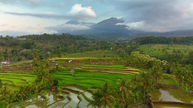 Aerial view of Senaru Rice Fields with lush green terraces and mountains under a cloudy sky in Bayan, West Nusa Tenggara, Indonesia.