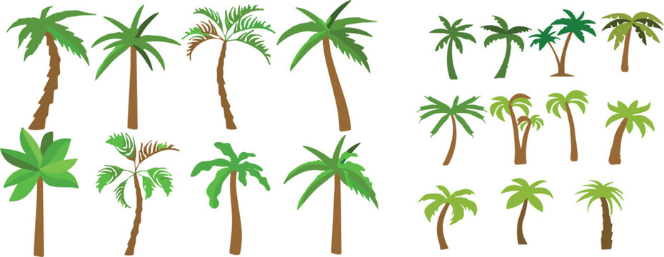 Tropical Palm Tree Vector Icon Collection Featuring Isolated Coconut Palms and Exotic Summer Foliage Plants for Beach Resort Vacations and Nature Travel Background Designs