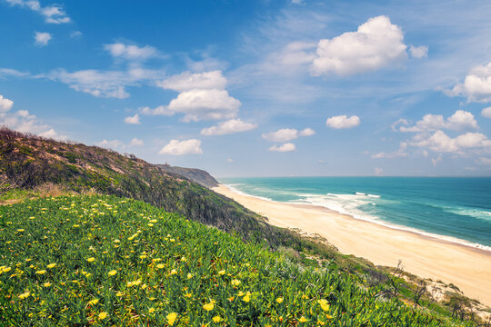 Rocky seashore on a sunny day. The beautiful flowering slope of the mountain. Paredes da Vitoria Beach, Portugal, Europe