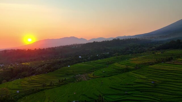 Aerial view of the terraced Senaru Rice Fields during a golden sunset with misty mountains and tropical greenery Bayan, West Nusa Tenggara, Indonesia.