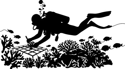 Scuba diver studying coral reef with scientific grid underwater, silhouette © Marakawulo