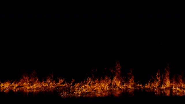 Realistic fire flames burning intensely along the bottom of a black background.