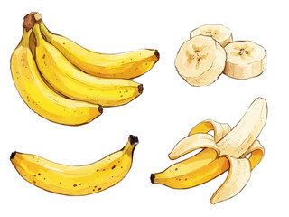 Item-style fresh banana fruit illustration, elegant vibrant yellow peel for organic healthy breakfast branding ／ バナナのイラスト © BN studio