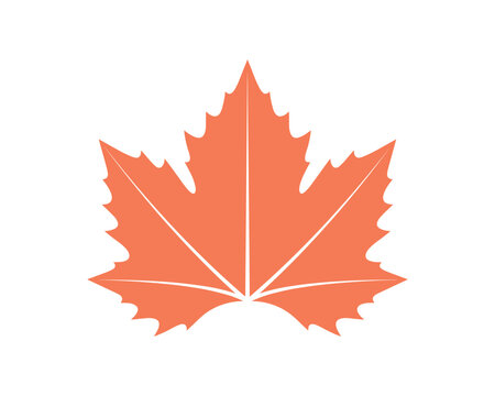 Simple orange maple leaf vector illustration flat design style