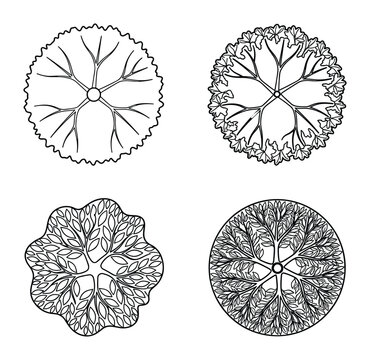 Variety of tree crown illustrations with organic shapes